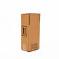 UN Certified 1-in 1 Gallon F-Style Tin Can Corrugate Packaging