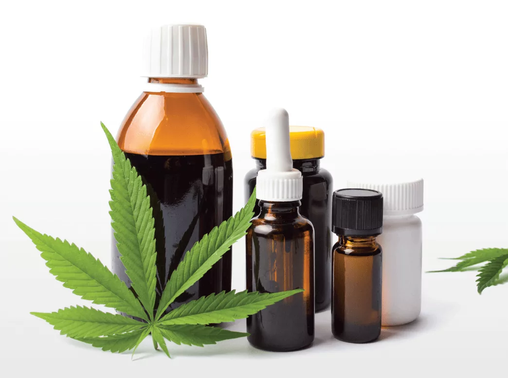 Cannabis 1 Cannabis